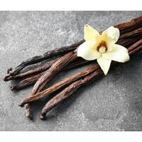 Oriental Vanilla Perfumes