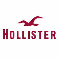 hollister webshop